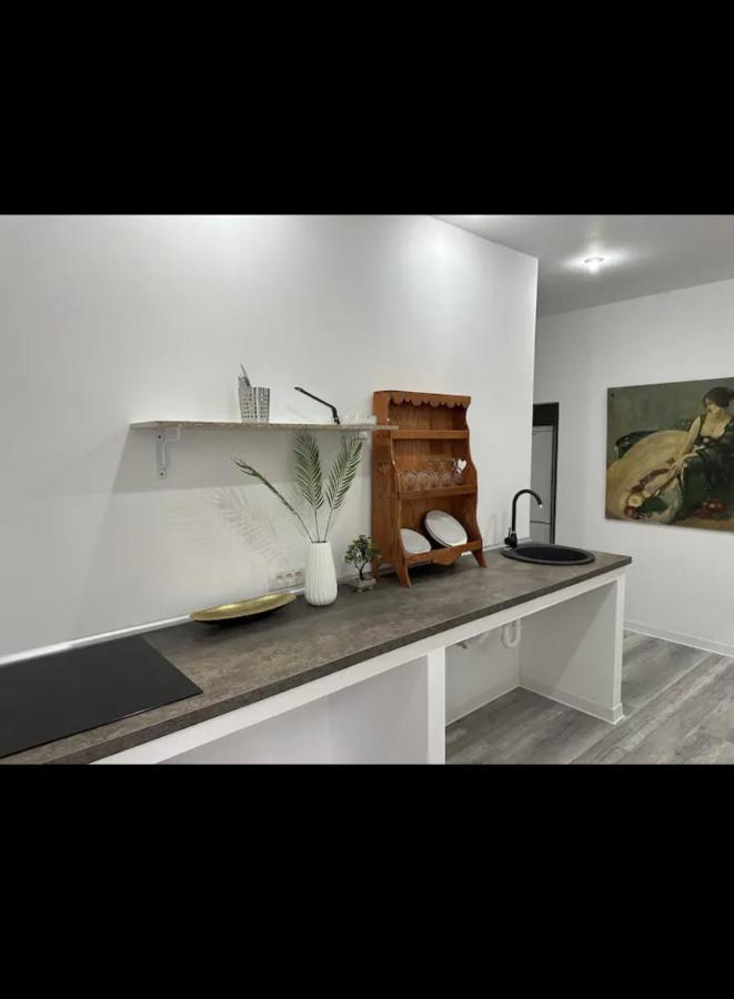 Piata Libertatii Apartament 1 Room Тимишоара Экстерьер фото