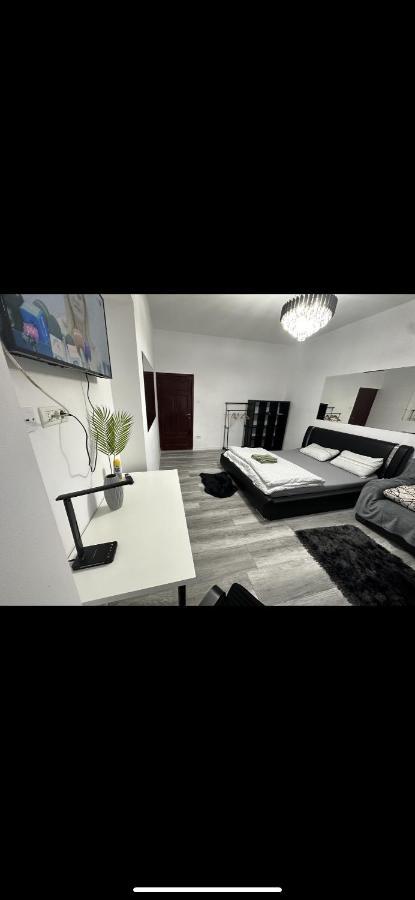 Piata Libertatii Apartament 1 Room Тимишоара Экстерьер фото