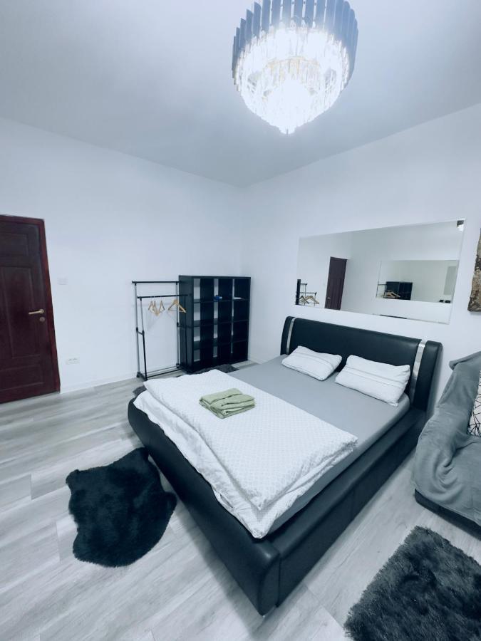 Piata Libertatii Apartament 1 Room Тимишоара Экстерьер фото